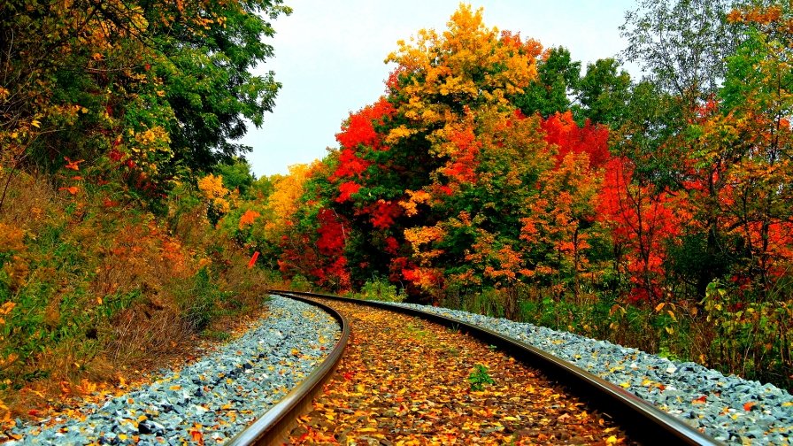 Where to Travel in India during the October Month?