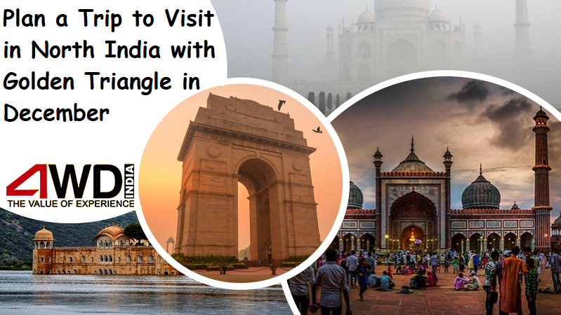 Plan a Trip to Visit in North India with Golden Triangle in December