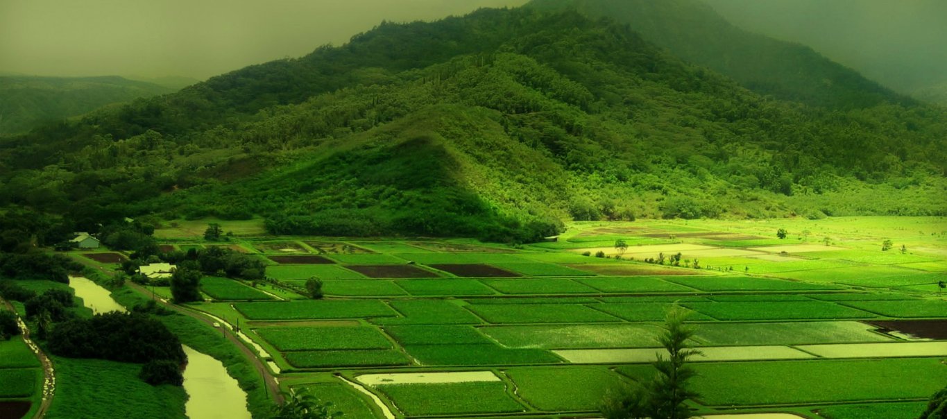 7 Awful Destinations in India for the Most Scenic Views