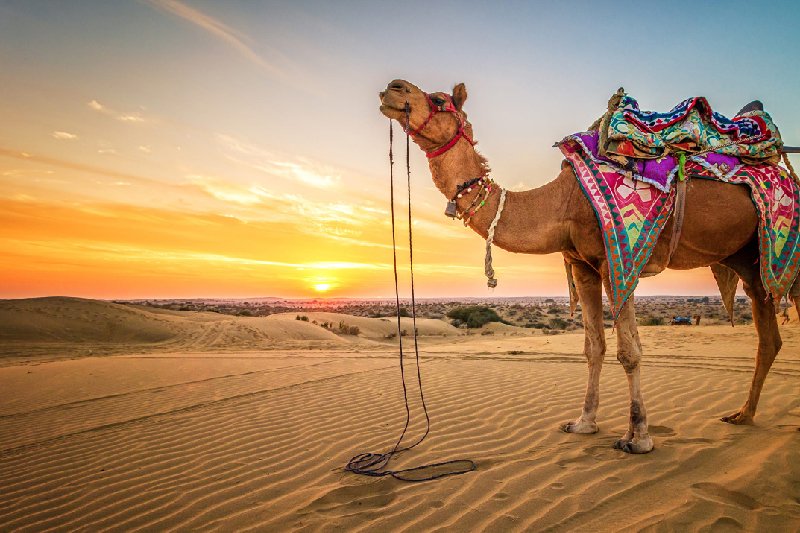 Best Time to Enjoy Trip in Rajasthan