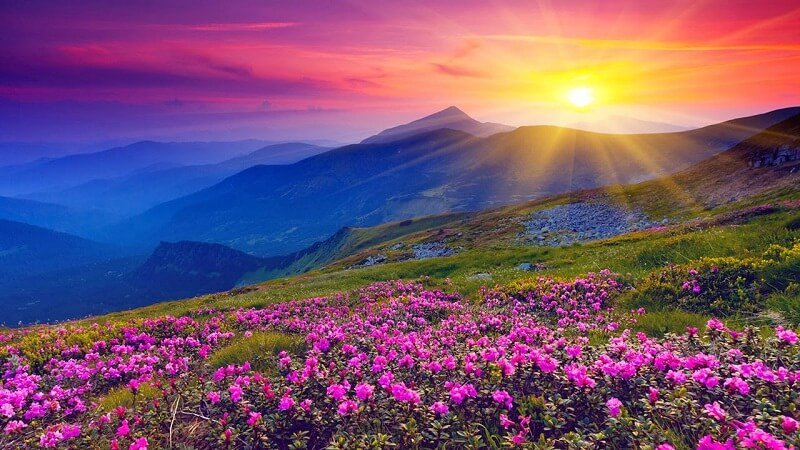 Best Places to Visit within 500 Km from Delhi