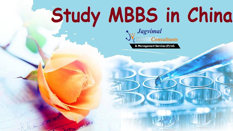 Take the Chance for Exploring the Medical Tourism of China